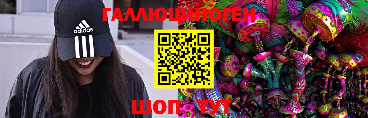 Галлюциногенные грибы Magic Shrooms  Вход с VPN  Амурск 